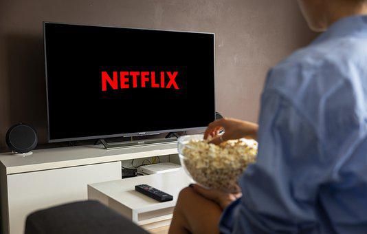 netflix sky net